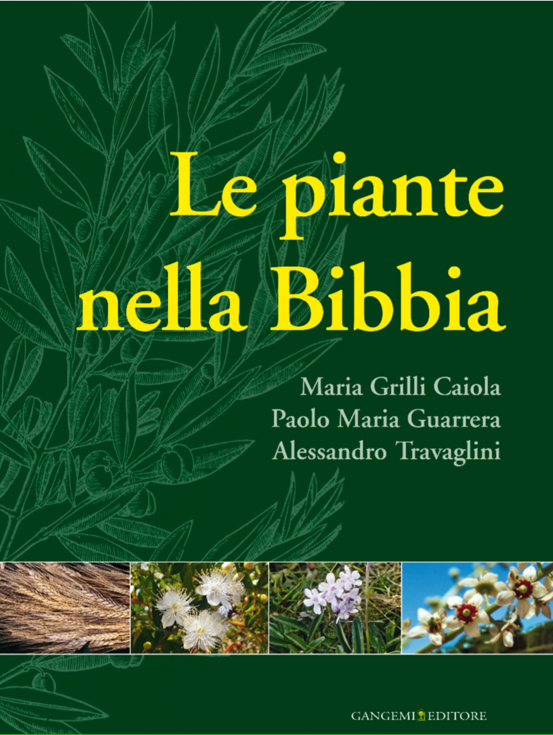 Piante Della Bibbia E La Loro Simbologia Le piante nella Bibbia | Arte e Luoghi